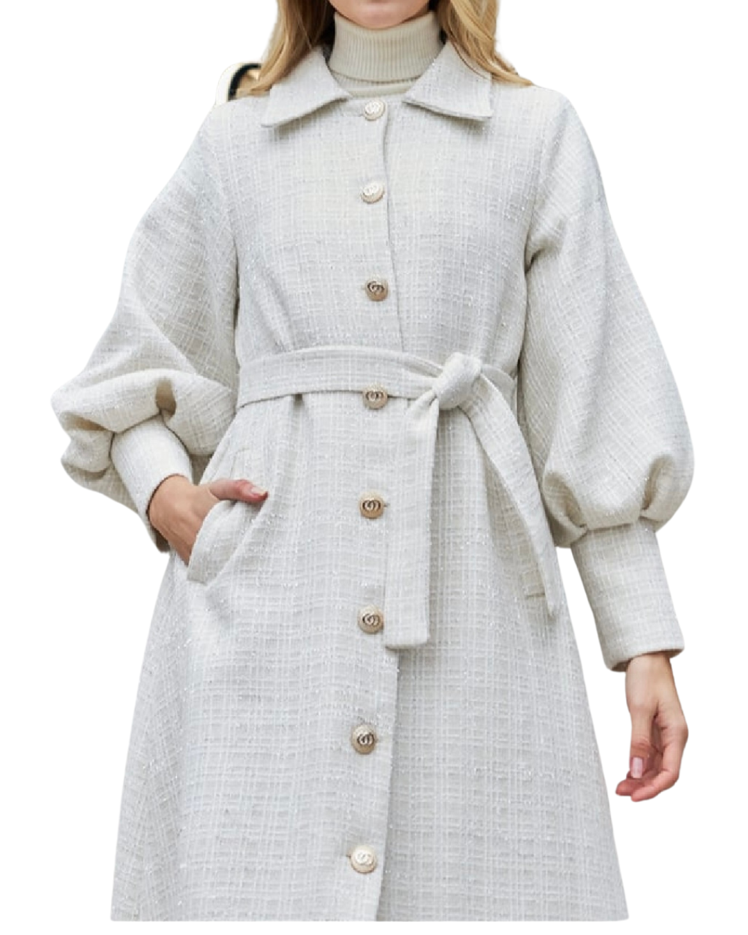 Beautiful Elegant Coat